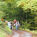 P1100016