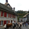 P1100232