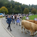 P1180882