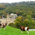 P1180912