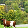 P1180916