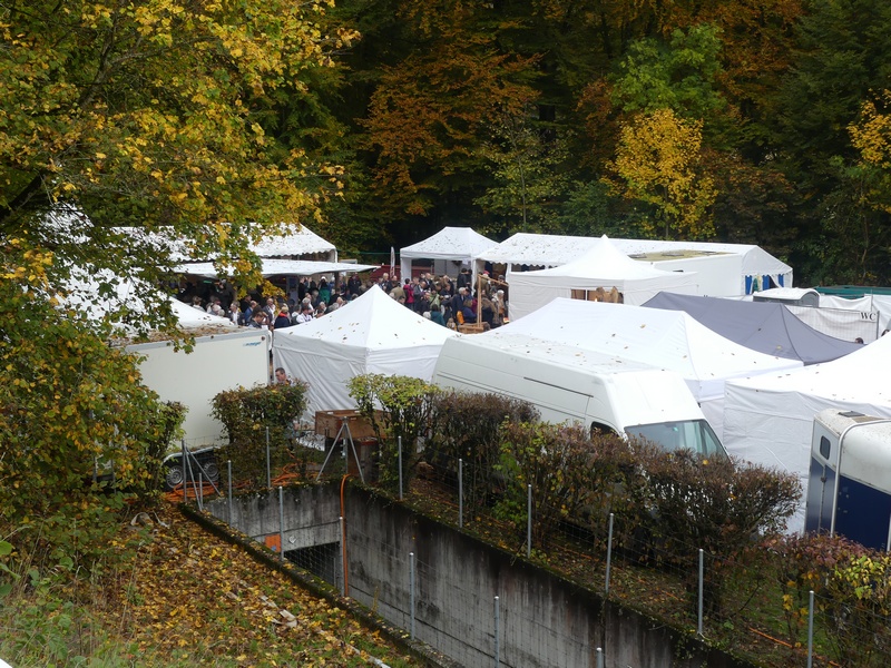 P1100072.JPG
