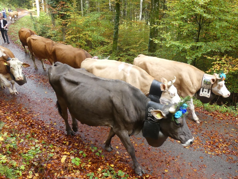 P1100043.JPG