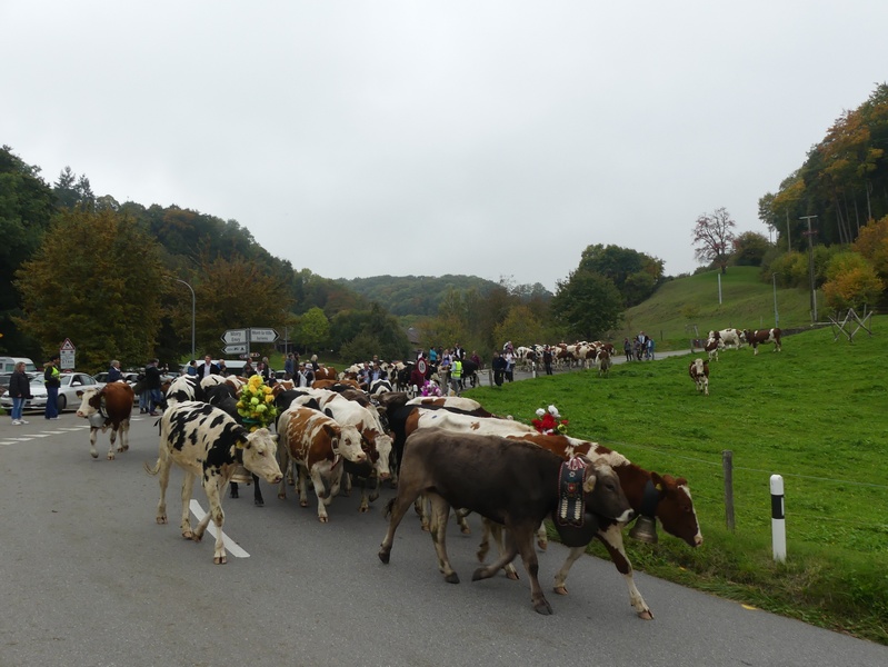 P1180873.JPG